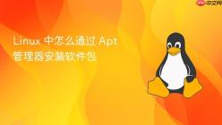 Linux 中怎么通过 Apt 管理器安装软件包