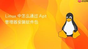 Linux 中怎么通过 Apt 管理器安装软件包