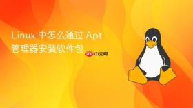 linux 中怎么通过 apt 管理器安装软件包