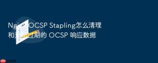 nginx ocsp stapling怎么清理和更新过期的 ocsp 响应数据