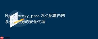 Nginx proxy_pass 怎么配置内网与外网服务的安全代理