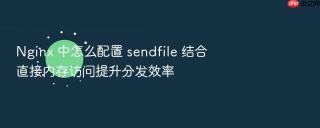 nginx 中怎么配置 sendfile 结合直接内存访问提升分发效率