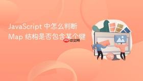 javascript 中怎么判断 map 结构是否包含某个键