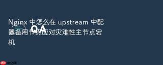 nginx 中怎么在 upstream 中配置备用节点应对灾难性主节点宕机