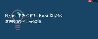 Nginx 中怎么使用 Root 指令配置网站的根目录路径