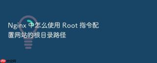 nginx 中怎么使用 root 指令配置网站的根目录路径
