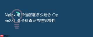 nginx 证书链配置怎么结合 openssl 命令检查证书链完整性