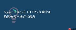 Nginx 中怎么在 HTTPS 代理中正确透传客户端证书信息