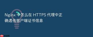 nginx 中怎么在 https 代理中正确透传客户端证书信息