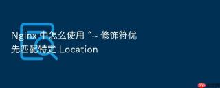 Nginx 中怎么使用 ^~ 修饰符优先匹配特定 Location