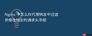 nginx 中怎么在代理转发中过滤并修改特定的请求头字段