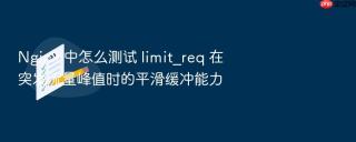 Nginx 中怎么测试 limit_req 在突发流量峰值时的平滑缓冲能力