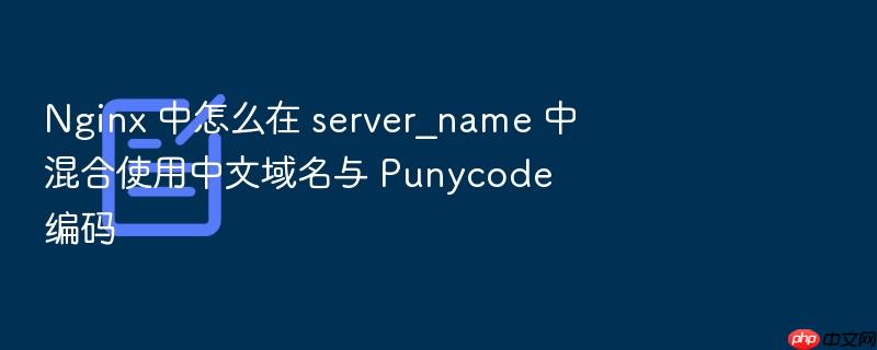 nginx 中怎么在 server_name 中混合使用中文域名与 punycode 编码