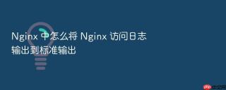 nginx 中怎么将 nginx 访问日志输出到标准输出