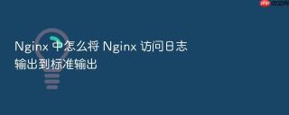 Nginx 中怎么将 Nginx 访问日志输出到标准输出