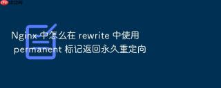 nginx 中怎么在 rewrite 中使用 permanent 标记返回永久重定向