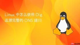 linux 中怎么使用 dig 追溯完整的 dns 递归
