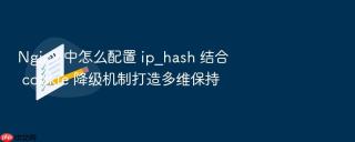 nginx 中怎么配置 ip_hash 结合 cookie 降级机制打造多维保持