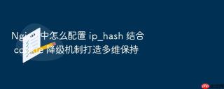 Nginx 中怎么配置 ip_hash 结合 cookie 降级机制打造多维保持