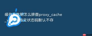 缓存有效期怎么排查proxy_cache_valid未指定状态码默认不存