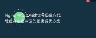 Nginx 中怎么构建世界级反向代理缓存与缓冲区的顶级调优方案