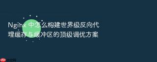 nginx 中怎么构建世界级反向代理缓存与缓冲区的顶级调优方案