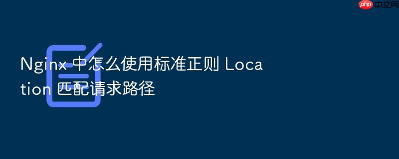 nginx 中怎么使用标准正则 location 匹配请求路径