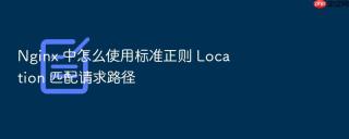 Nginx 中怎么使用标准正则 Location 匹配请求路径