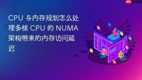 cpu 与内存规划怎么处理多核 cpu 的 numa 架构带来的内存访问延迟