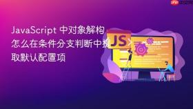 JavaScript 中对象解构怎么在条件分支判断中提取默认配置项