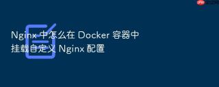 nginx 中怎么在 docker 容器中挂载自定义 nginx 配置