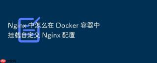 Nginx 中怎么在 Docker 容器中挂载自定义 Nginx 配置