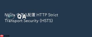 nginx 中怎么配置 http strict transport security (hsts)