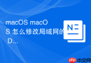 macOS macOS 怎么修改局域网的 DNS 服务器地址