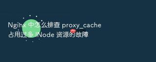 nginx 中怎么排查 proxy_cache 占用过多 inode 资源的故障