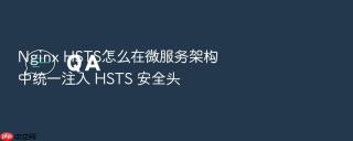 nginx hsts怎么在微服务架构中统一注入 hsts 安全头