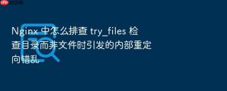 Nginx 中怎么排查 try_files 检查目录而非文件时引发的内部重定向错乱