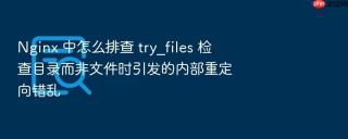 nginx 中怎么排查 try_files 检查目录而非文件时引发的内部重定向错乱