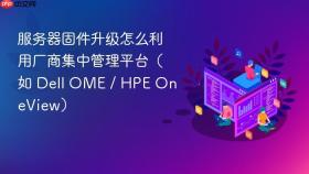 服务器固件升级怎么利用厂商集中管理平台（如 dell ome / hpe oneview）