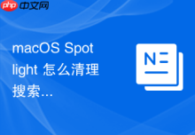 macOS Spotlight 怎么清理搜索缓存提升响应速度