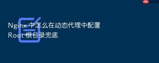 Nginx 中怎么在动态代理中配置 Root 根目录兜底