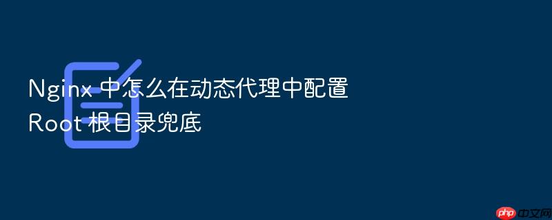 nginx 中怎么在动态代理中配置 root 根目录兜底