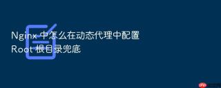 nginx 中怎么在动态代理中配置 root 根目录兜底