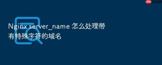nginx server_name 怎么处理带有特殊字符的域名