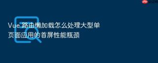 Vue 路由懒加载怎么处理大型单页面应用的首屏性能瓶颈