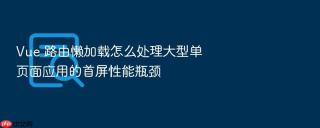 vue 路由懒加载怎么处理大型单页面应用的首屏性能瓶颈