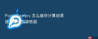 pinia getters 怎么缓存计算结果提升应用渲染性能