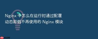 nginx 中怎么在运行时通过配置动态卸载不再使用的 nginx 模块