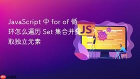 JavaScript 中 for of 循环怎么遍历 Set 集合并提取独立元素