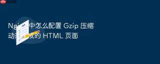 nginx 中怎么配置 gzip 压缩动态生成的 html 页面